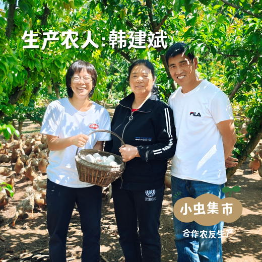 生态松花皮蛋 6枚装/ 15枚装 | 合作农友生产，来自四川成都，生产者：韩建斌 *【公平贸易农人定价】 商品图2