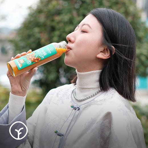 【远方检测SGS308项农残0检出内蒙古原始主义 沙棘果汁饮料】0色素0添加 源于自然 冰果鲜榨 酸甜可囗 健康又解腻 290ml*8瓶 商品图2