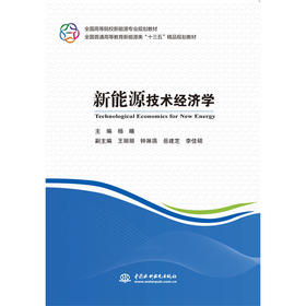 新能源技术经济学（全国高等院校新能源专业规划教材 全国普通高等教育新能源类“十三五”精品规划教材）