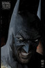 蝙蝠侠和小丑 致命双雄 斜线 Batman & The Joker The Deadly Duo（2023） 商品缩略图11