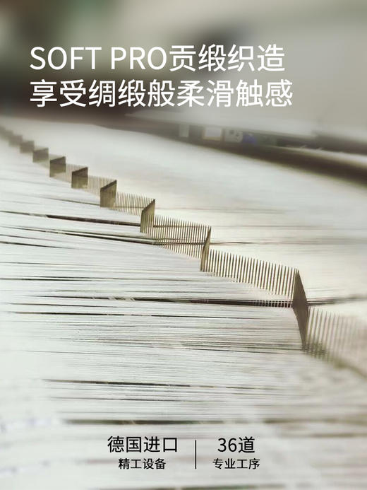 佳丽斯100支长绒棉四件套轻奢高级感绣全棉纯棉2024新款被套床单 商品图5