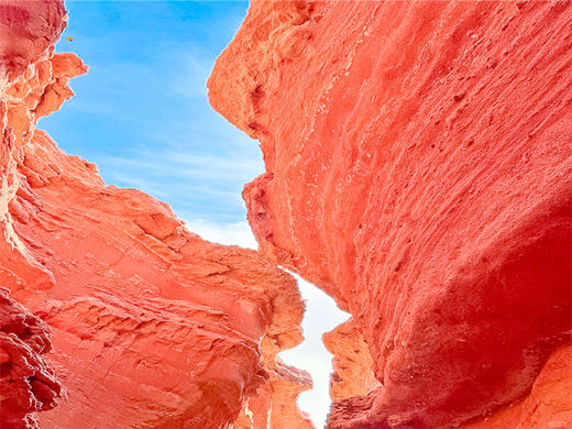 五一4日【蒙西秘境】一半沙漠一半海の网红乌海-西部梦幻峡谷-涝利海-五当召-美岱召-呼市 商品图4