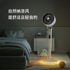 百斯腾空气循环扇Bestherm观系列全屋循环氛围扇小蛮腰款Q1 商品缩略图3
