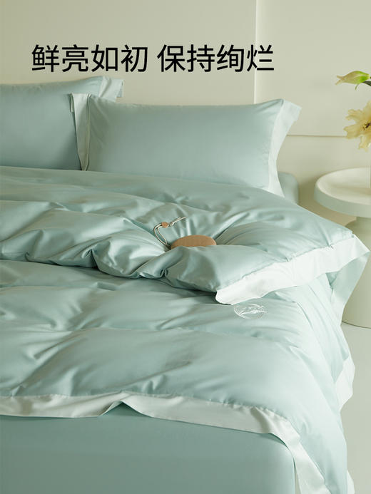 佳丽斯100支长绒棉四件套轻奢高级感绣全棉纯棉2024新款被套床单 商品图6