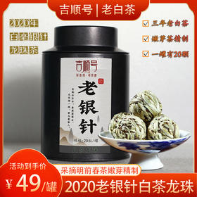 2020年白茶龙珠《老银针》古树白茶20颗精美罐装