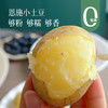 【预售3天】【恩施小土豆】5斤装 （乒乓球大小） 采用最原始种植方式  硒含量出众  皮薄肉紧  粉糯清香  百吃不厌  怎么做家里老少都爱吃~ 商品缩略图0