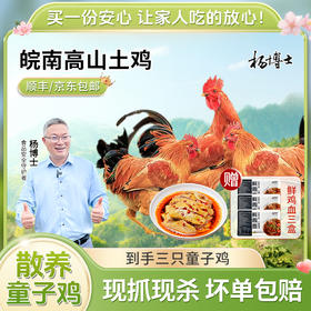 孩子们最爱的童子鸡，鲜中有嫩，100多到手3只！