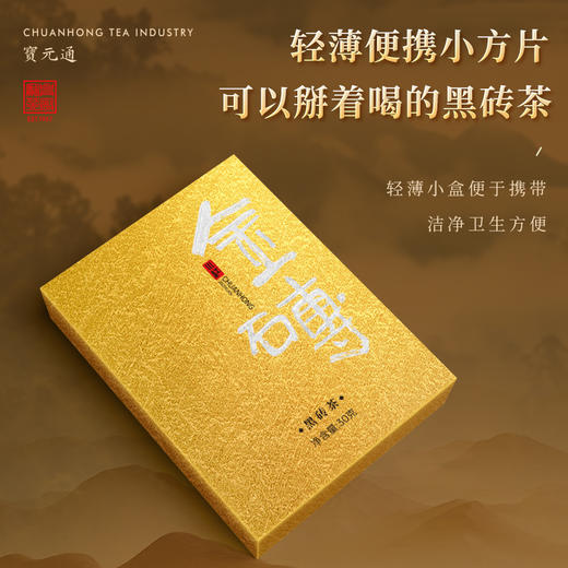 五粮液川红茶业宝元通牌 黑茶砖茶经典金砖茶叶礼盒 送礼 商品图3