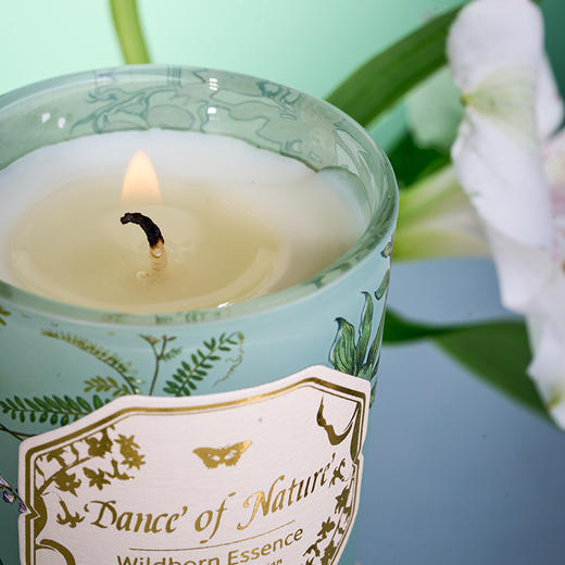 大英博物馆 博物志系列 铃兰香氛蜡烛 香薰套装礼盒-【向野而生】 商品图3