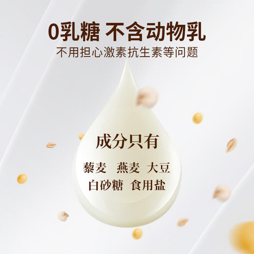 谷物蛋白台藜奶220ml*10袋【产地直发】@礼麦 商品图3