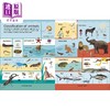 【中商原版】英文原版DK词典3册 1000 Useful Words常用词 STEM科学科普词汇 阅读写作技能提升 4-8岁 幼儿学前教育图书 商品缩略图3