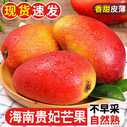 【新鲜应季！海南贵妃芒果】不早采，自然熟，香甜皮薄，水果精品芒果现摘热带水果整箱 商品图0