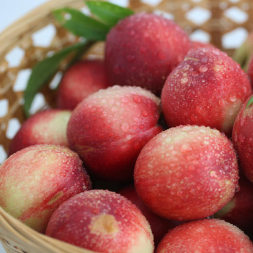 新鲜水果郧阳区油桃3斤   商品图1