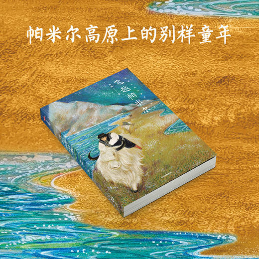 飞越帕米尔(孙施) 商品图1