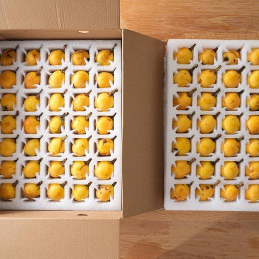 塘栖·白沙枇杷（4斤装）  个头均匀，果肉软糯（京东生鲜特快发货） 商品图8