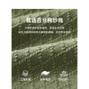TeenieWeenie小熊字母连衣裙女夏季女短裙TTOK246403N 商品缩略图4