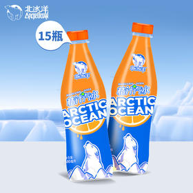 北冰洋 PET桔汁汽水480ml * 15