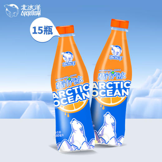 北冰洋 PET桔汁汽水480ml * 15 商品图0