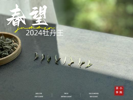 【2024春茶来了】2024牡丹王，白毫奇多，做好仅几天茶汤就生成3个月才有的糯感 商品图2