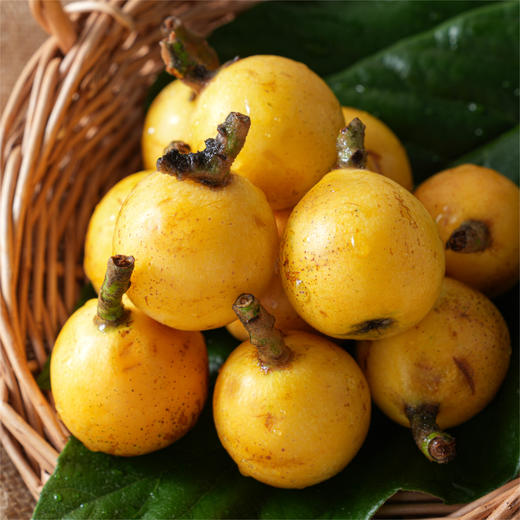 塘栖·白沙枇杷（4斤装）  个头均匀，果肉软糯（京东生鲜特快发货） 商品图7