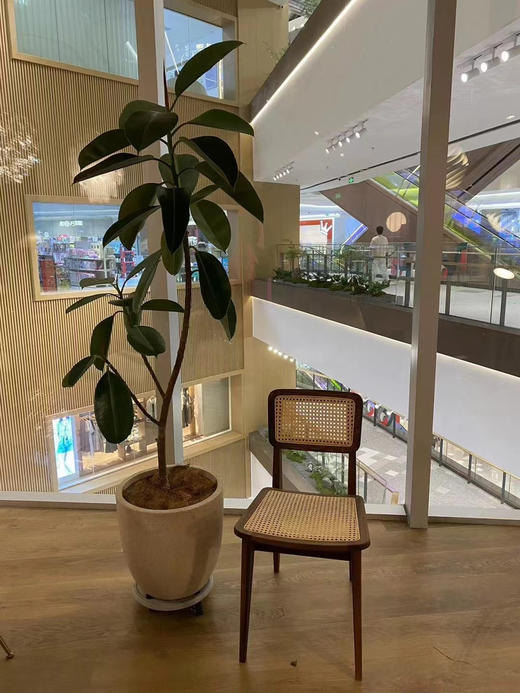 家简法空间开业专属花礼 商品图10