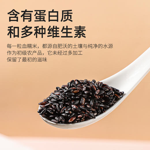 袋鼠小布赤玉血糯米  780g/罐 商品图4