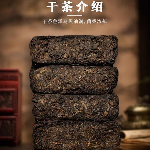 国津丨1979手筑茯砖 特制茯砖 安化黑茶 2015年原料 1000g 大份量，口粮茶 商品图2