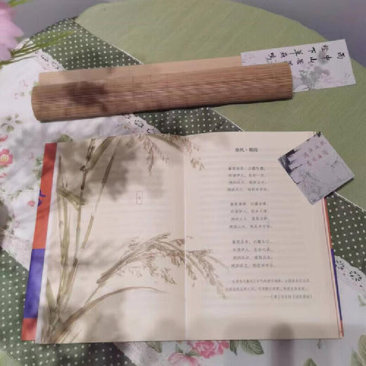 野性的歌谣：流沙河讲诗经 流沙河讲透诗经本质 文学诗歌 商品图3