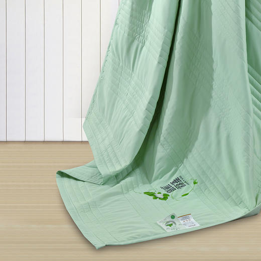 【紫韵家纺】紫韵 蚕丝薄荷凉感被 ZY-BM1667 180*200cm 商品图1
