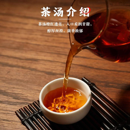 国津丨1979手筑茯砖 特制茯砖 安化黑茶 2015年原料 1000g 大份量，口粮茶 商品图3