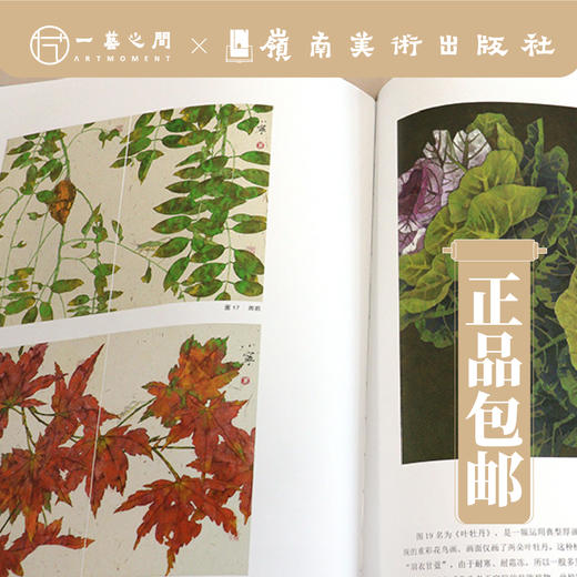 万小宁《创作笔记-重彩花鸟画材料技法》植物篇/金属箔篇/动物篇可单选 全套3本购买更优惠 岭南美术出版社[现货包邮] 商品图8
