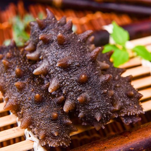 【海鲜精选】大连即食海参 鲜食海参配料只有海参和水 冷蒸工艺 营养丰富  每天一只海参 老少皆可吃 商品图2