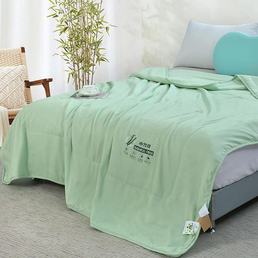 【紫韵家纺】紫韵 小竹棉清香抗菌被 ZY-BM1670 200*230cm 商品图2