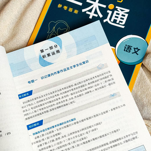 上海新高考一本通 语文 第三版 高考一轮复习 上海高考语文考点 商品图6