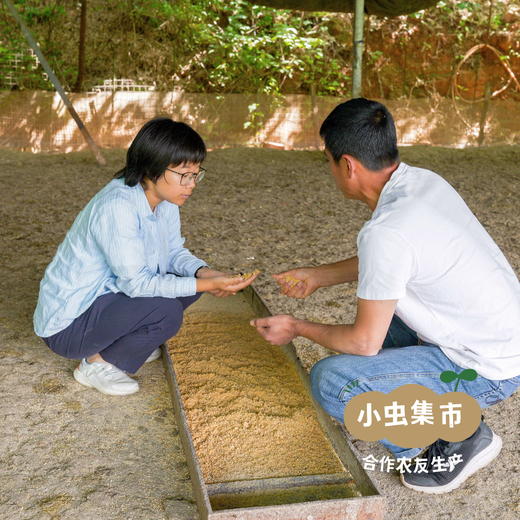 生态咸鸭蛋 6/15枚装 | 合作农友生产，产自四川德阳，生产者：韩建斌 *【公平贸易农人定价】 商品图9