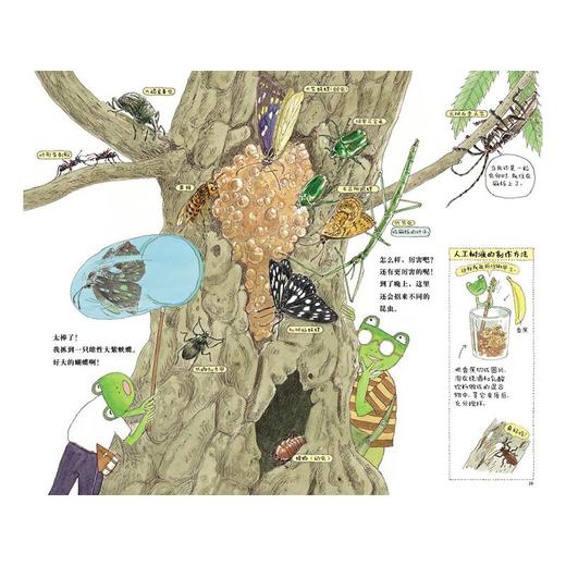 和雨蛙爸爸一起去采集昆虫 商品图3