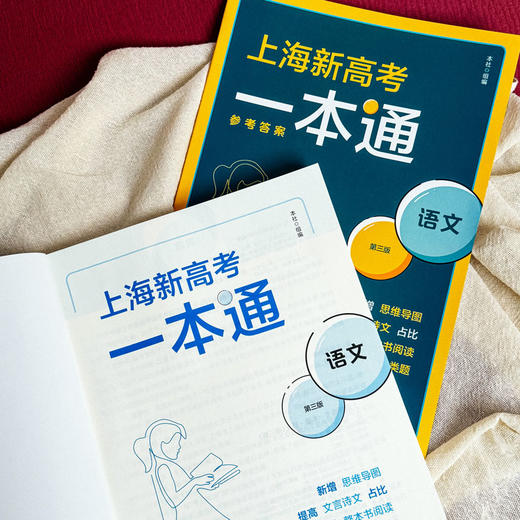 上海新高考一本通 语文 第三版 高考一轮复习 上海高考语文考点 商品图5