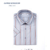 占姆士男士条纹商务休闲短袖衬衫 商品缩略图1
