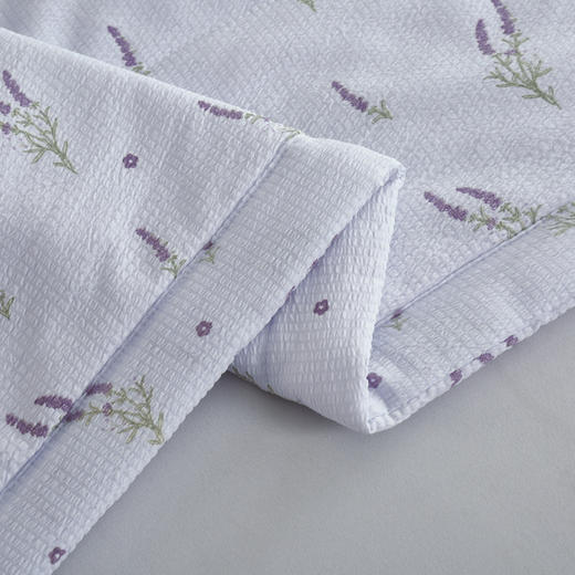 【紫韵家纺】紫韵 薰衣草草本安神被 ZY-BM1663 200*230cm 商品图2
