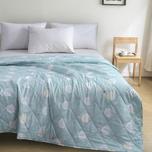 【紫韵家纺】紫韵 春田花语防螨被 ZY-BM1671 150*200cm 商品图1