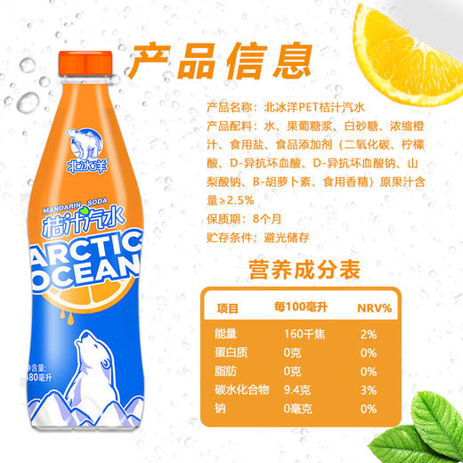 北冰洋 PET桔汁汽水480ml * 15 商品图5