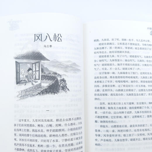 《少年文艺》14期征订 (含增刊2期，全年12册) 商品图12