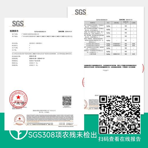 【SGS308项农残未检出远方定制茶珍 怕糖油脂喝帝泊洱】【提取茶中精华 浓缩精制而成】【餐后喝两杯 大餐肆意吃】A股医药上市公司出品 商品图5