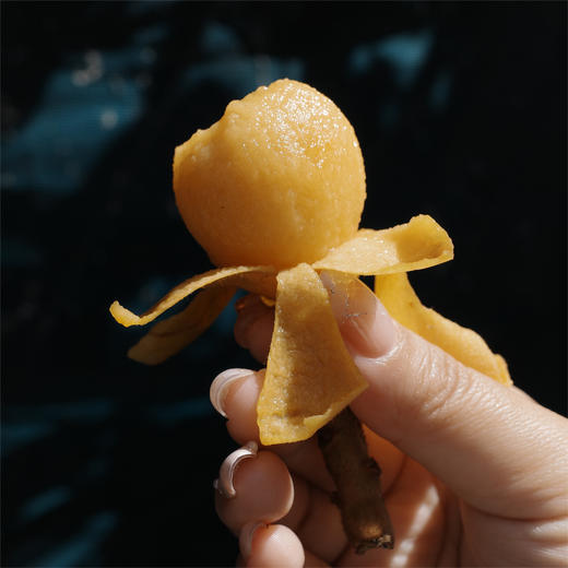 塘栖·白沙枇杷（4斤装）  个头均匀，果肉软糯（京东生鲜特快发货） 商品图2