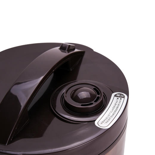 ACA  微电脑电饭煲  ALY-30FB08A 商品图5