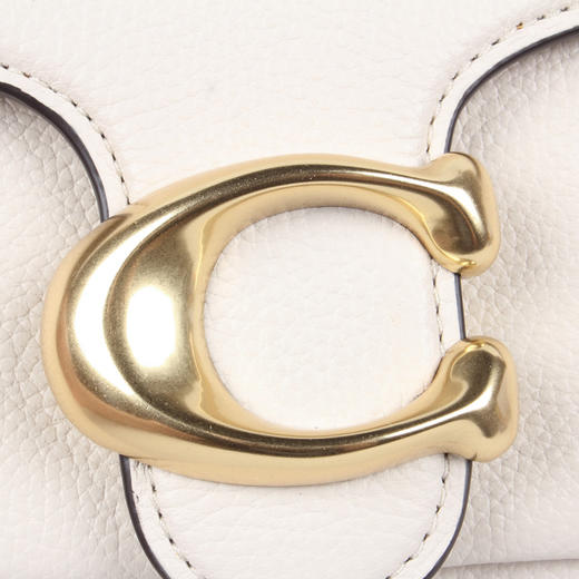 COACH 专柜款女士单肩斜挎手提包 商品图7