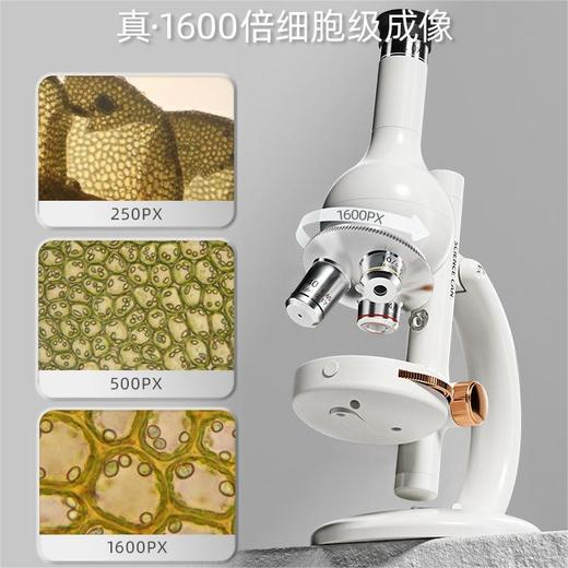 【专业微观探索 解密细胞世界】科学罐头学生显微镜立式1600倍steam实验六一礼物 商品图1