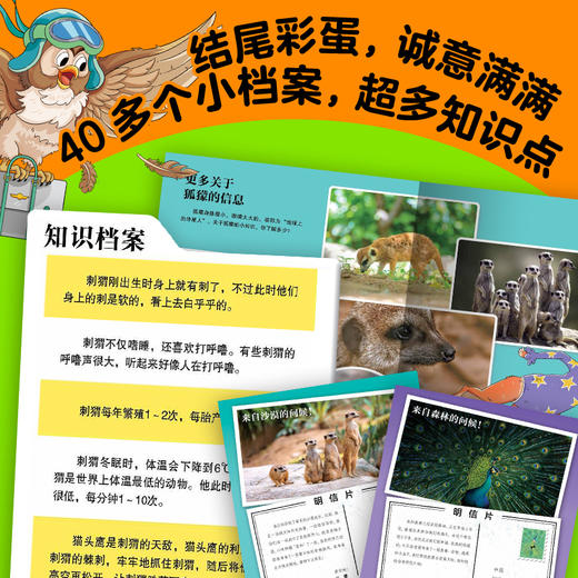 动物妙想国（第3辑）全8册（点读版） 商品图5