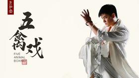 迷罗引领 丨五禽戏 古法养生丨元和学院