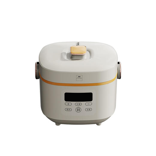 康宁 多功能电饭煲 WK-GFB3011/KZ 商品图3